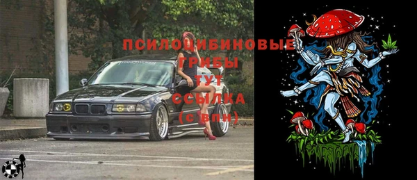 эйфоретик Абаза
