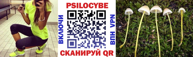 Псилоцибиновые грибы мицелий Новоульяновск